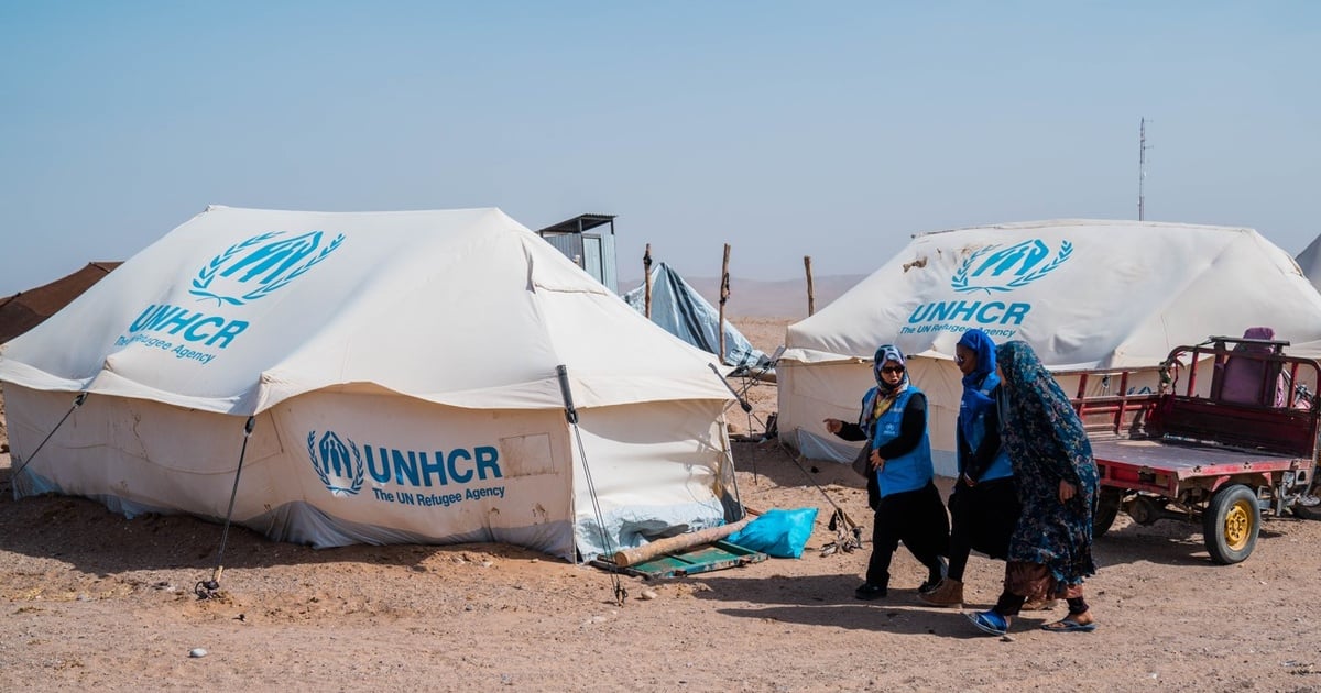 Shelter Monitoring Project (UNHCR)